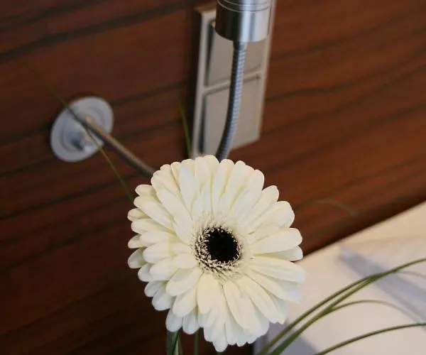 阿古斯特恩穆尼辰酒店 3*